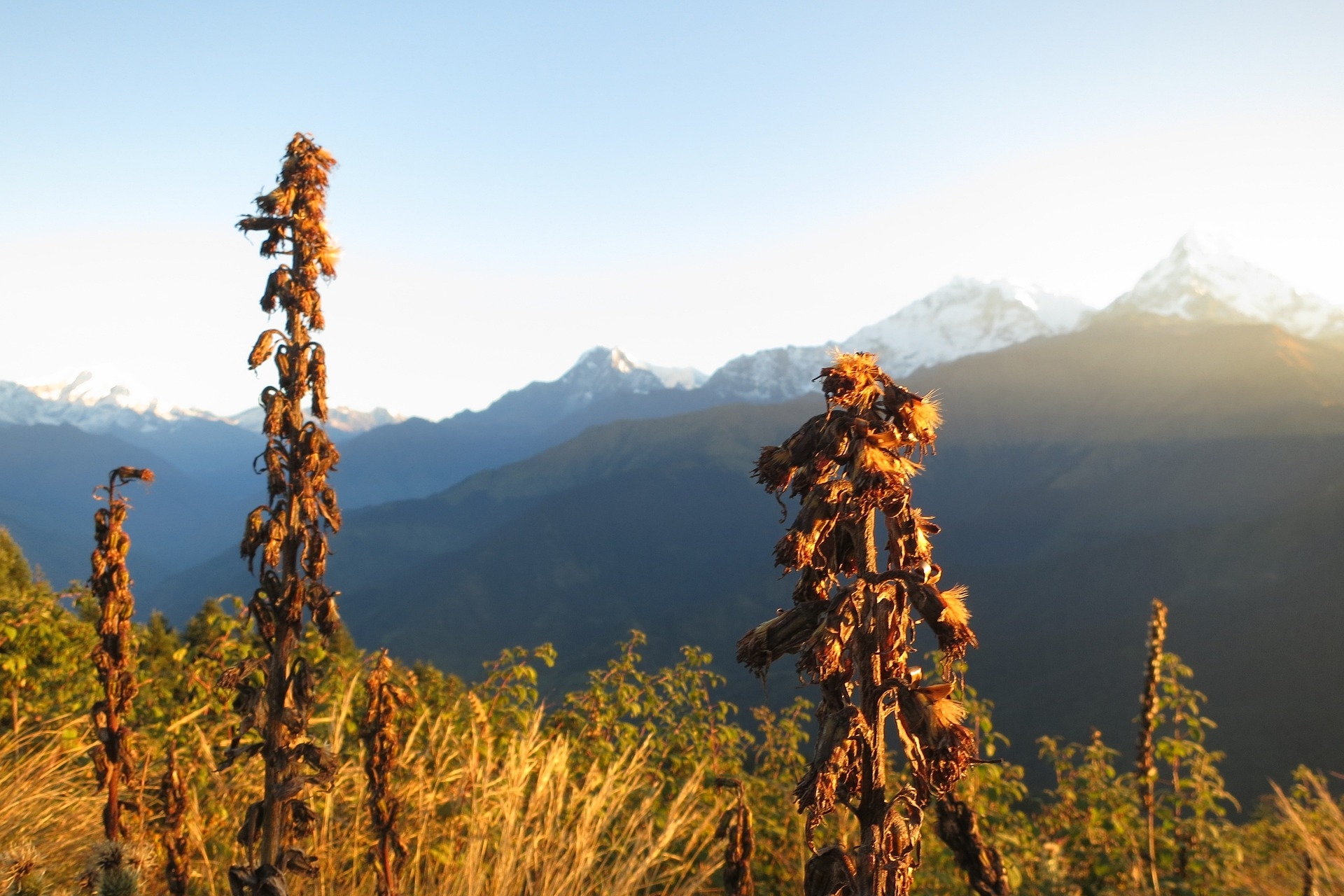 Annapurna Sanctuary Trekking Ghorepani Poon Hill