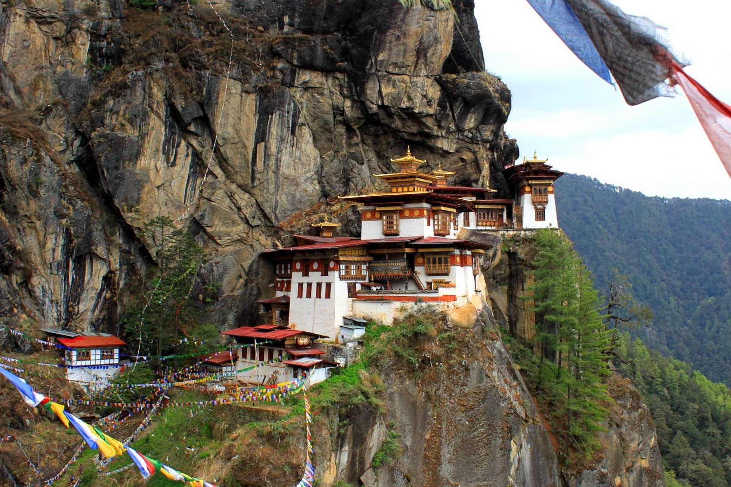 Bhutan Cultural Odessy Tour