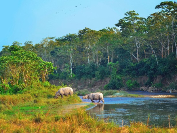 Essence Of Nepal 8 Days