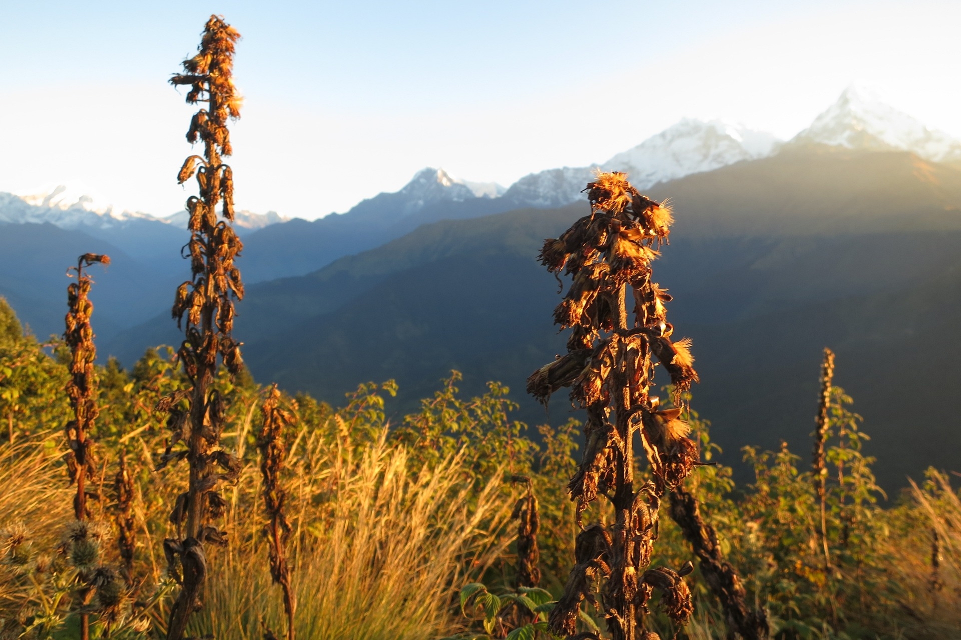 Ghorepani Poon hill Trek and Chitwan