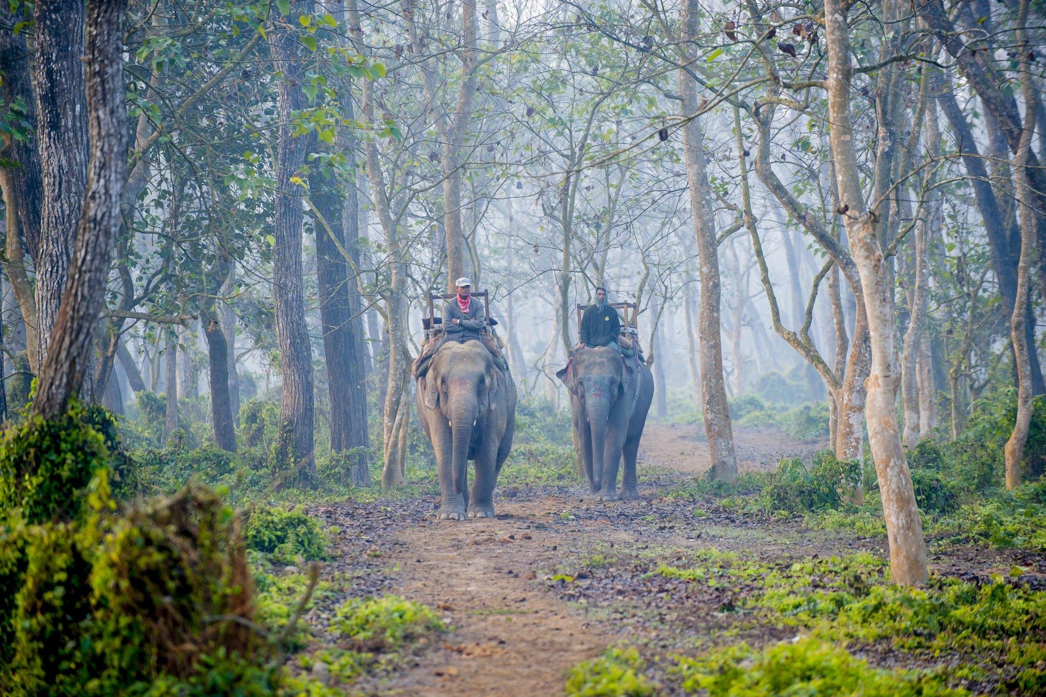 Kathmandu, Chitwan and Pokhara