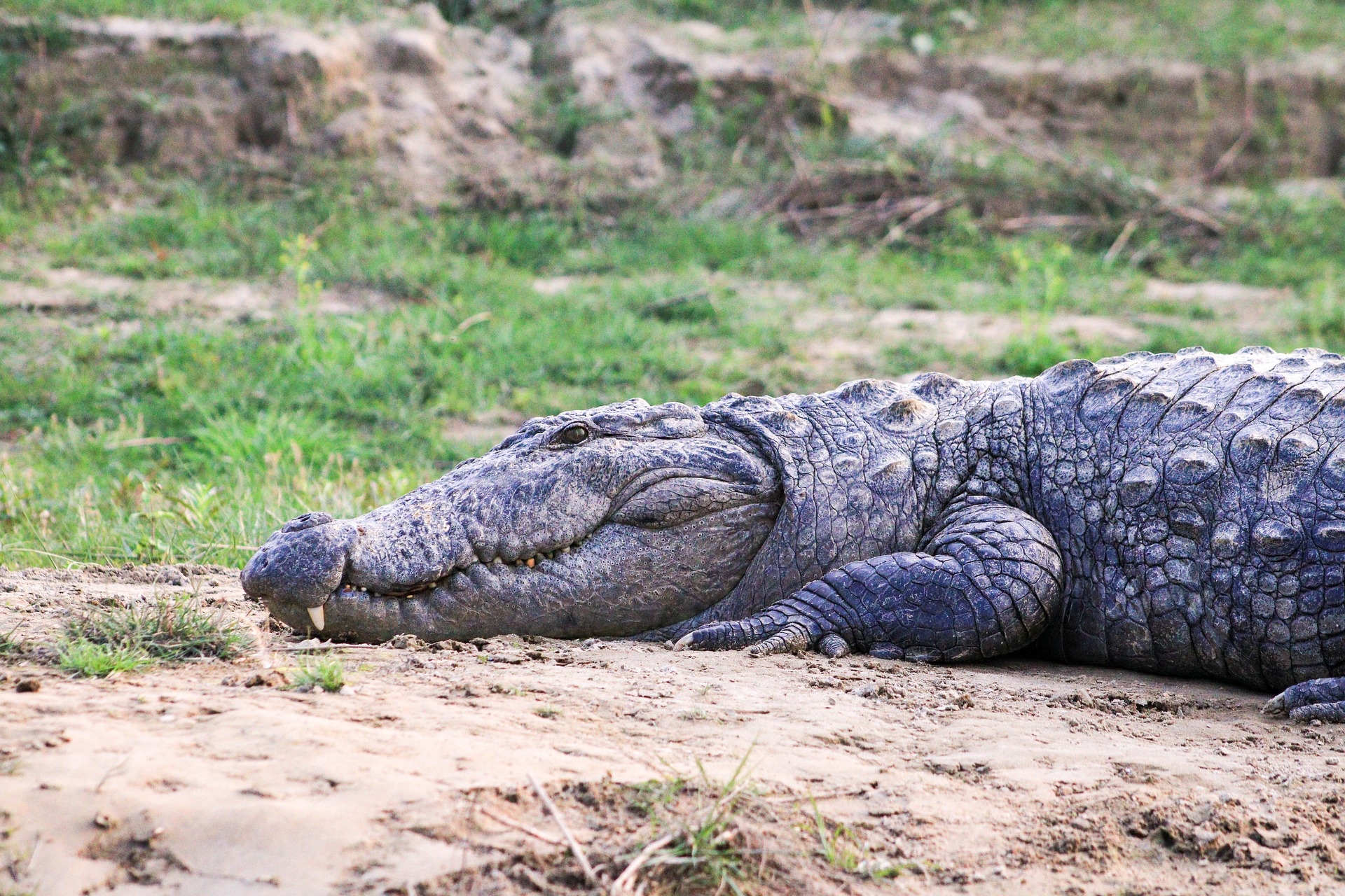 Kathmandu, Chitwan, Bandipur and Pokhara
