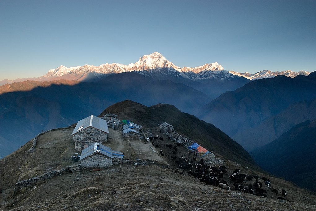 Khopra Danda Trekking