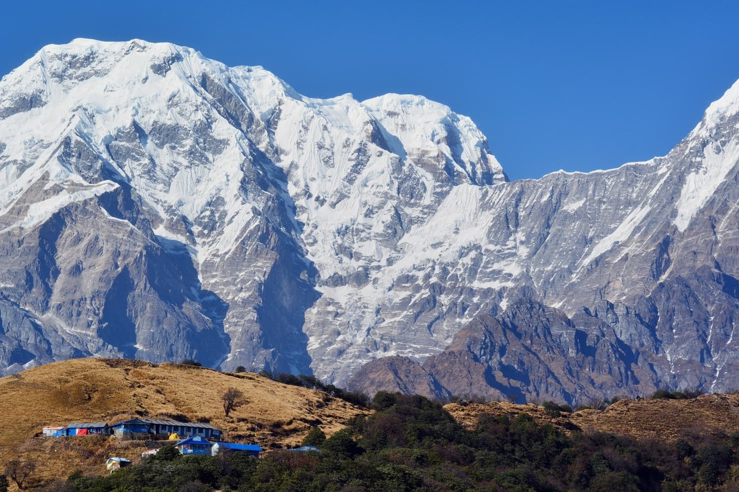 Mardi Himal Trekking