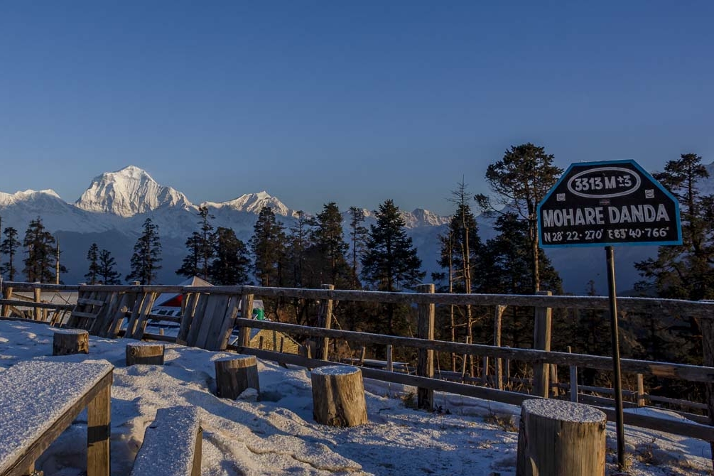 Mohare Danda Trekking