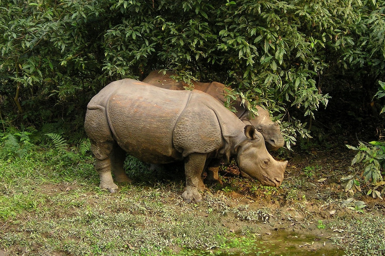 Nepal Classic Tour with  Dhampus Trek